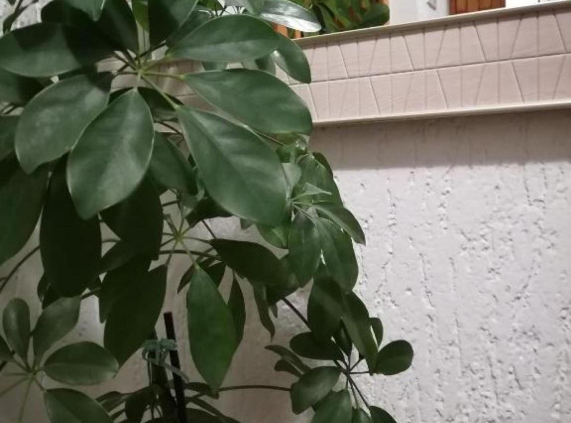 Apartman Olymp Osijek-Garaza Экстерьер фото